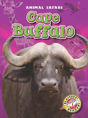 cover image of Cape Buffalo